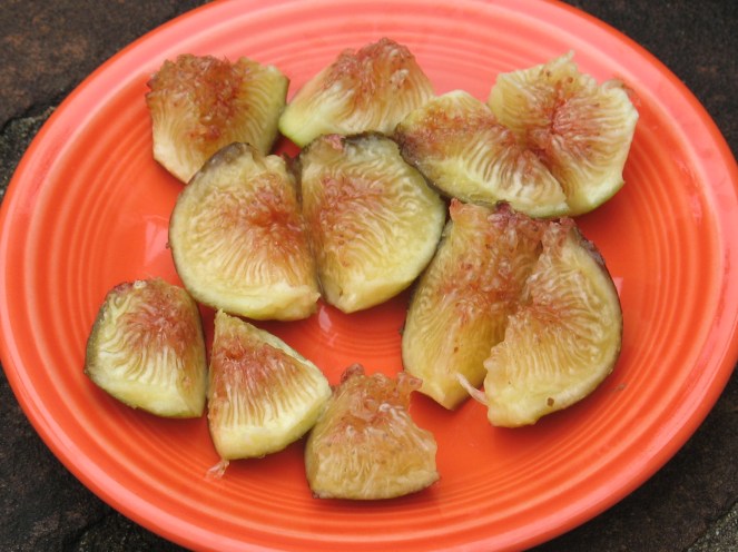 Grantham's Royal (42)