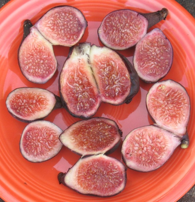Negronne breba figs