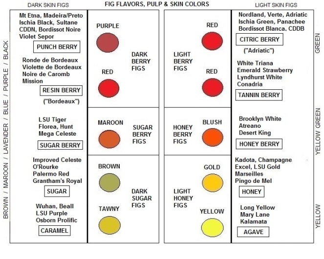 fig-modes-parallel-lines