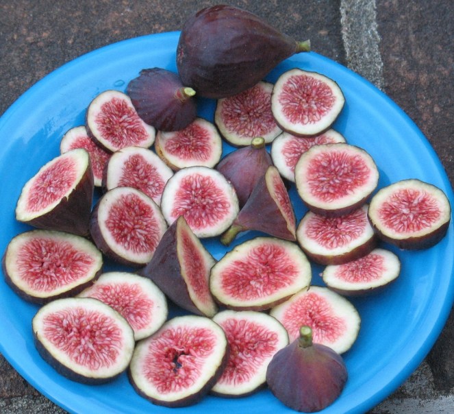 Mt Etna (6) (1024x934)