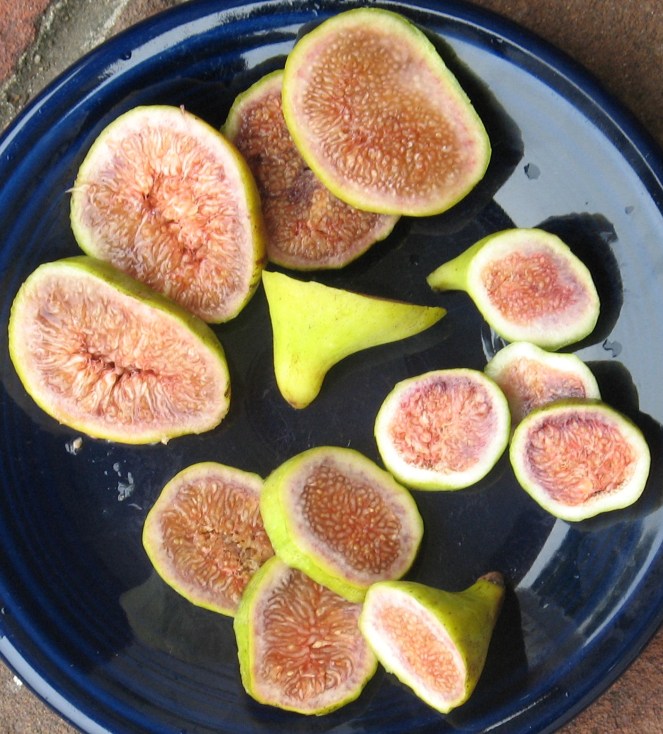 Brooklyn White breba (9)