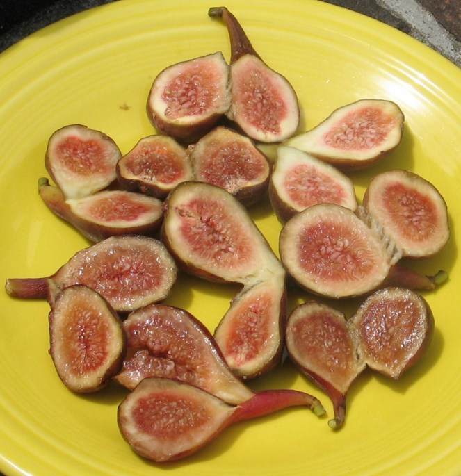 O'Rourke breba figs (990x1024)