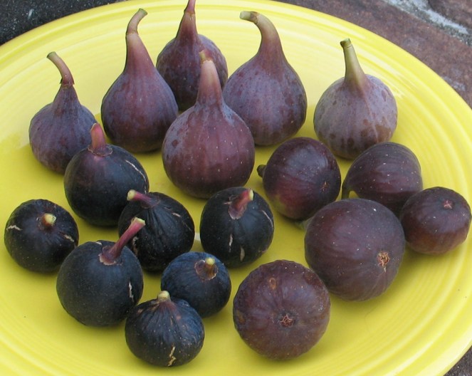 RdB, IC, Mt Etna (3)