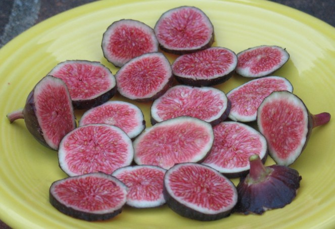 Ronde de Bordeaux (2) (1024x702)