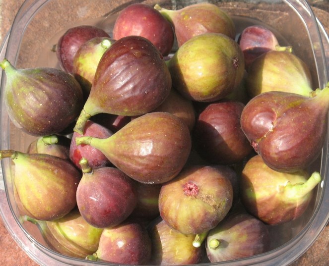 Mt Etna bowl (1024x830)