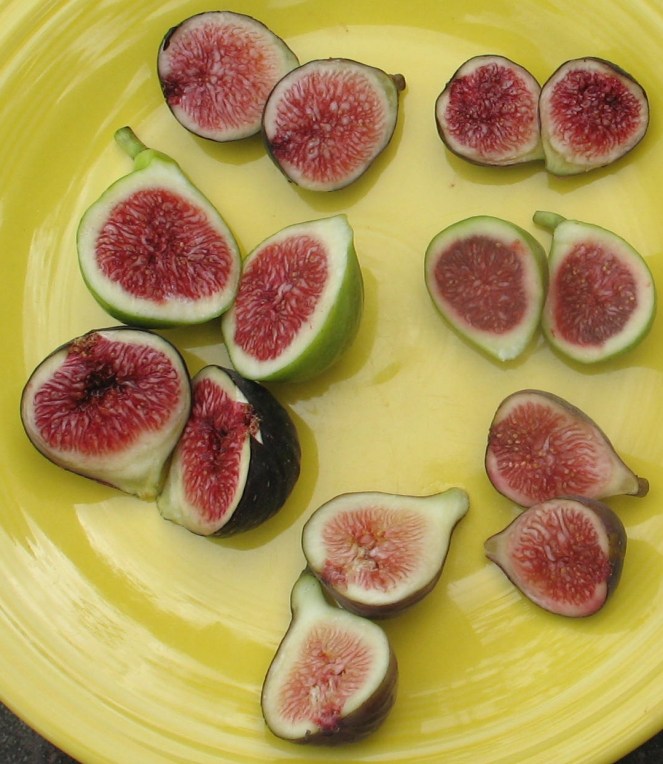 plate of figs Figo Preto Paradiso Bronze Sultane Mt Etna Calverte LSU Tiger Improved Celeste (7).JPG