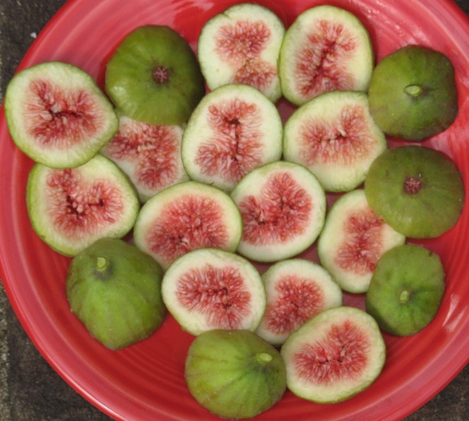 Mt Etna grren (3) (1024x922)