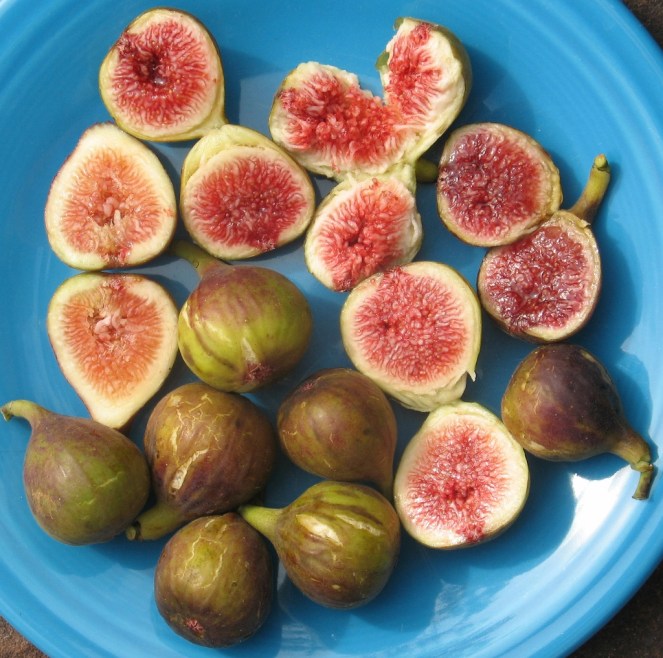 Mt Etna large (10) (1024x1017)