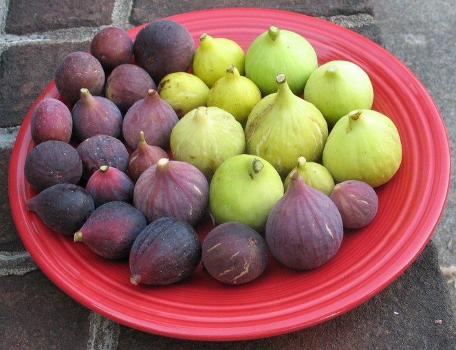 Brooklyn White, LSU Tiger et al