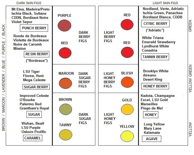 fig modes parallel lines new